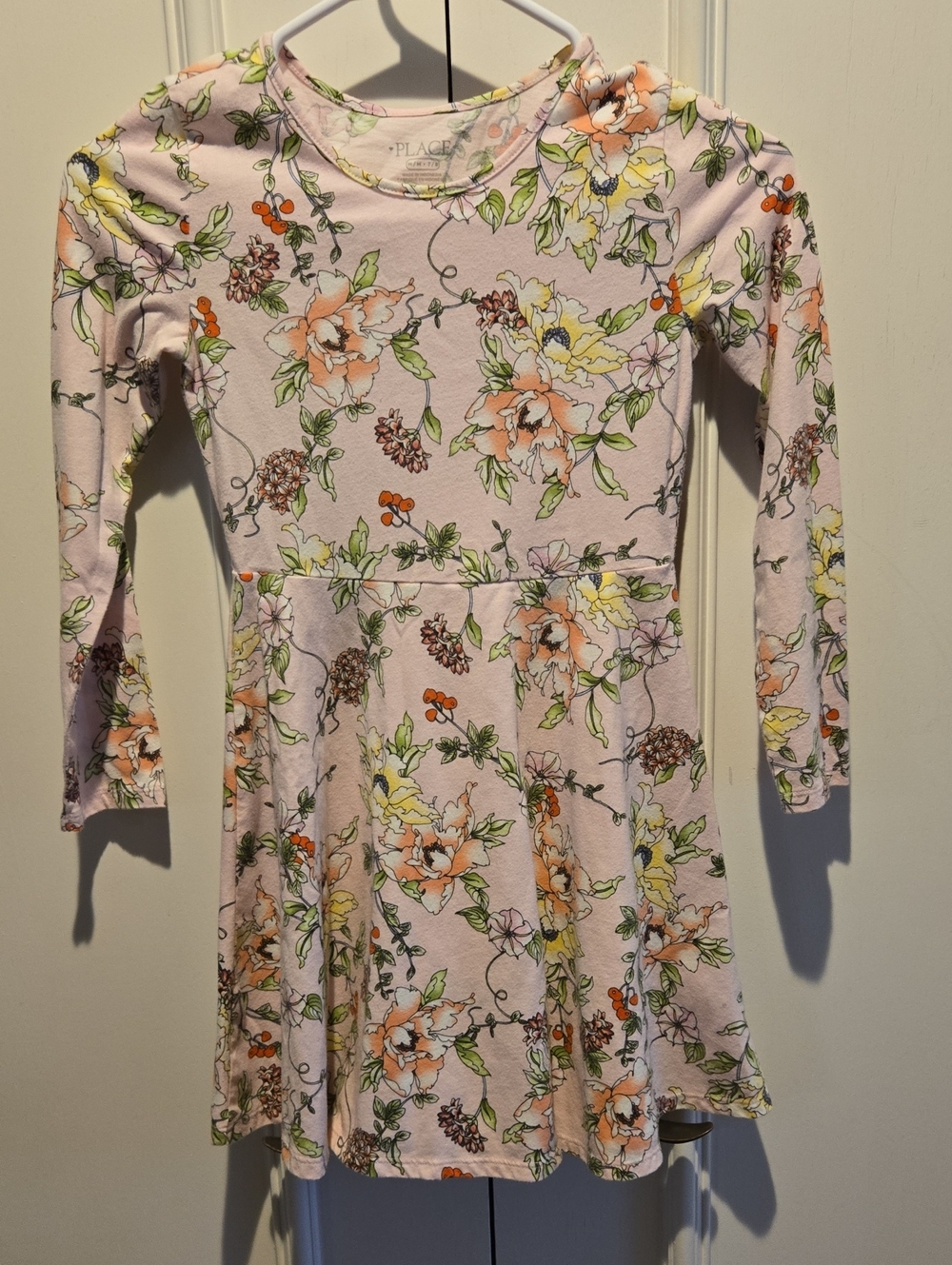 The Children's Place Pink Floral Long-Sleeve Skater Dress